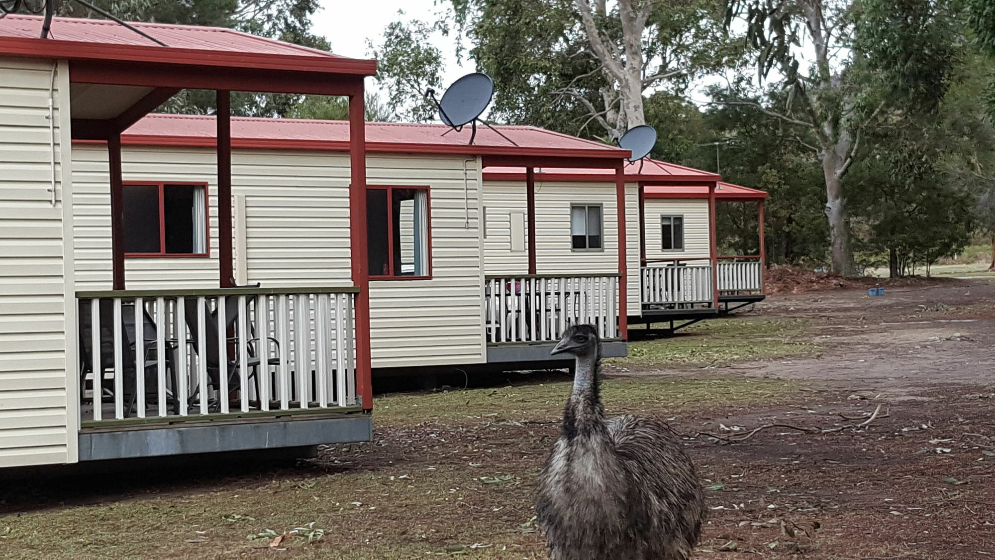 Breeze Holiday Parks - Grampians Halls Gap Kültér fotó